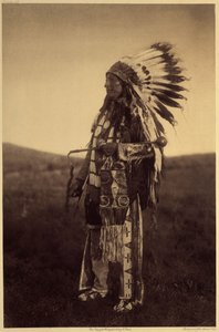 Hight Hawk. Warrior