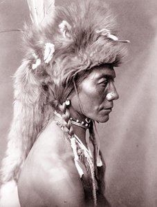 Yellow Kidney, Piegan by Edward Sheriff Curtis