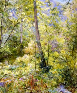 Dappled Sunlight, Sheepscombe Woods by Edward Steel Harper