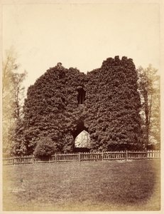 View of a Folly in Roundhay Park by Edward Wormald