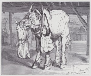 A Cart Horse by Edwin (after) Landseer
