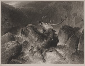 Death of the Stag, engraved by John Cousen