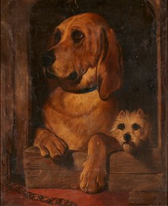 Dignity And Impudence by Edwin (after) Landseer