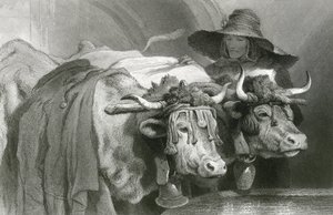 Oxen at the tank, Geneva (engraving) by Edwin (after) Landseer