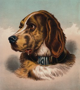 The Blood Hound by Edwin (after) Landseer