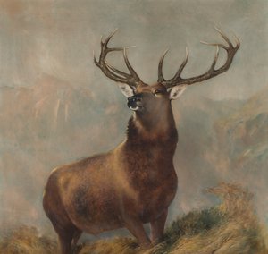 The Monarch of the Glen by Edwin (after) Landseer