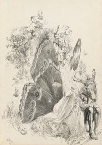 Bottom & Titania, illustration for A Midsummer Night