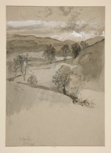 Landscape - Fields