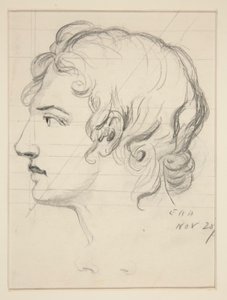 Male Head
