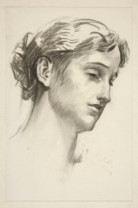 Portrait of a Young Woman