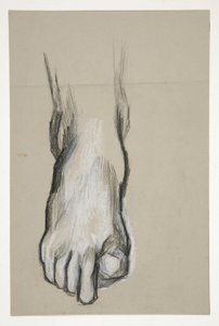 Sketch of a Foot