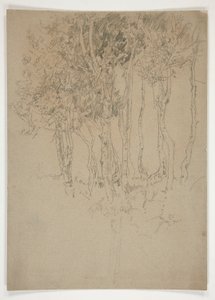 Sketch of a Grove of Trees by Edwin Austin Abbey