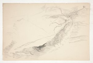Sketch of a Tree