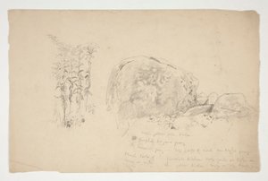 Sketches of Rocks, Weeds