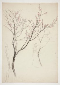 Study of a Figure Beneath a Flowering Tree by Edwin Austin Abbey
