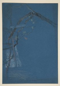 Study of Tree Branches