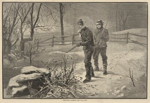 Tracking Rabbits
