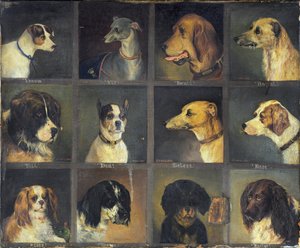 Twelve Favourite Dogs, 1883