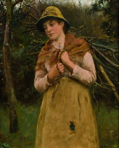 Gathering Sticks
