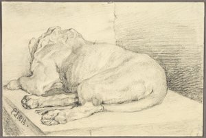 Reclining Lion, From Back