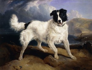 A Portrait of Neptune
