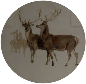 Deer in a Landscape (Studies of Deer)