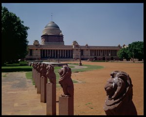 Front View of the Viceroy