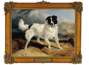 Neptune, the Property of William Ellis Gosling, Esq.