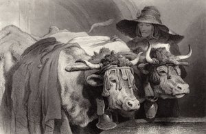 Oxen at the Tank, Geneva, Switzerland by Edwin Landseer