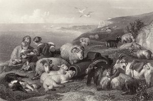 Peace by Edwin Landseer