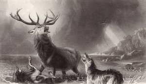 The Stag at Bay