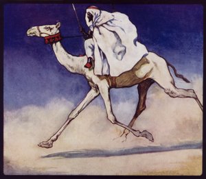 Racing Camel