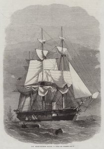 HM Steam-Corvette Racoon, 22 Guns by Edwin Weedon