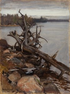 Dead Pine in the Water by Eero Järnefelt