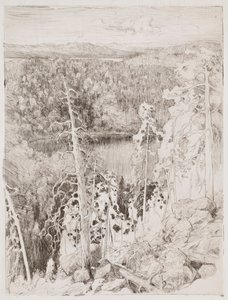 Landscape from Koli; Forest Landscape from Räsävaara by Eero Järnefelt