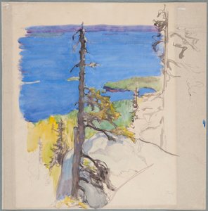Motif from Koli