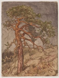 Pine on a Rock by Eero Järnefelt