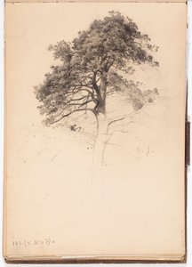 Top of a Pine, Page from Järnefelt