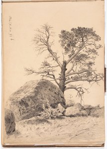 Untitled by Eero Järnefelt