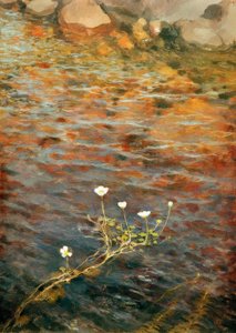 Water Buttercup by Eero Nikolai Jarnefelt