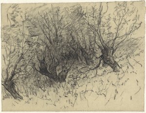 A Few Pollard Willows