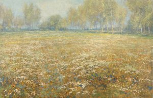 Meadow in Bloom by Egbert Schaap