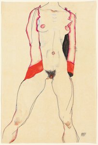 Female Torso by Egon Schiele