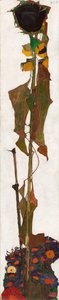Sunflower by Egon Schiele