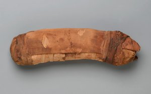 Mummy of a Cat by Egyptian