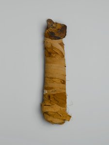 Mummy of a cat, purchased in Cairo