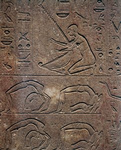 Celebrations with harp player and acrobats, relief, Red Chapel of Hatshepsut, reconstruction exhibited at the Museum of Karnak, Egyptian Civilization, New Kingdom, Dynasty XVIII