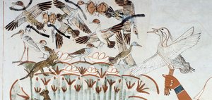 Ducks, nests, butterflies, cats and rodents, (detail) from the scene of hunting and fishing in the marshes, fresco, north wall, longitudinal chamber, Theban Tomb TT69, Sheikh Abd el-Qurna, Thebes. Egyptian civilization, New Kingdom, Dynasty XVIII