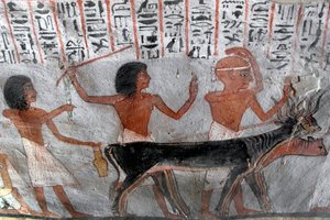 Characters leading betail heads by Egyptian 18th Dynasty