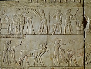 Egyptian antiquity: scenes of work in the fields and offerings to the pharaoh. (detail)